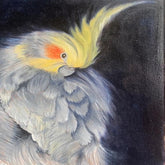 Lamon Parrot